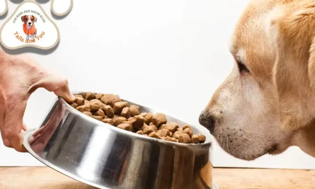 Canine Cuisine: Why Your Dog’s Diet Matters