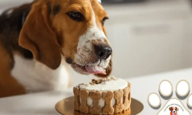 Homemade Dog Ice Cream Cake with Bacon Bits