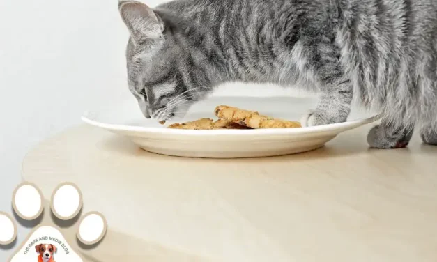 Homemade Tuna Cookies for Cats